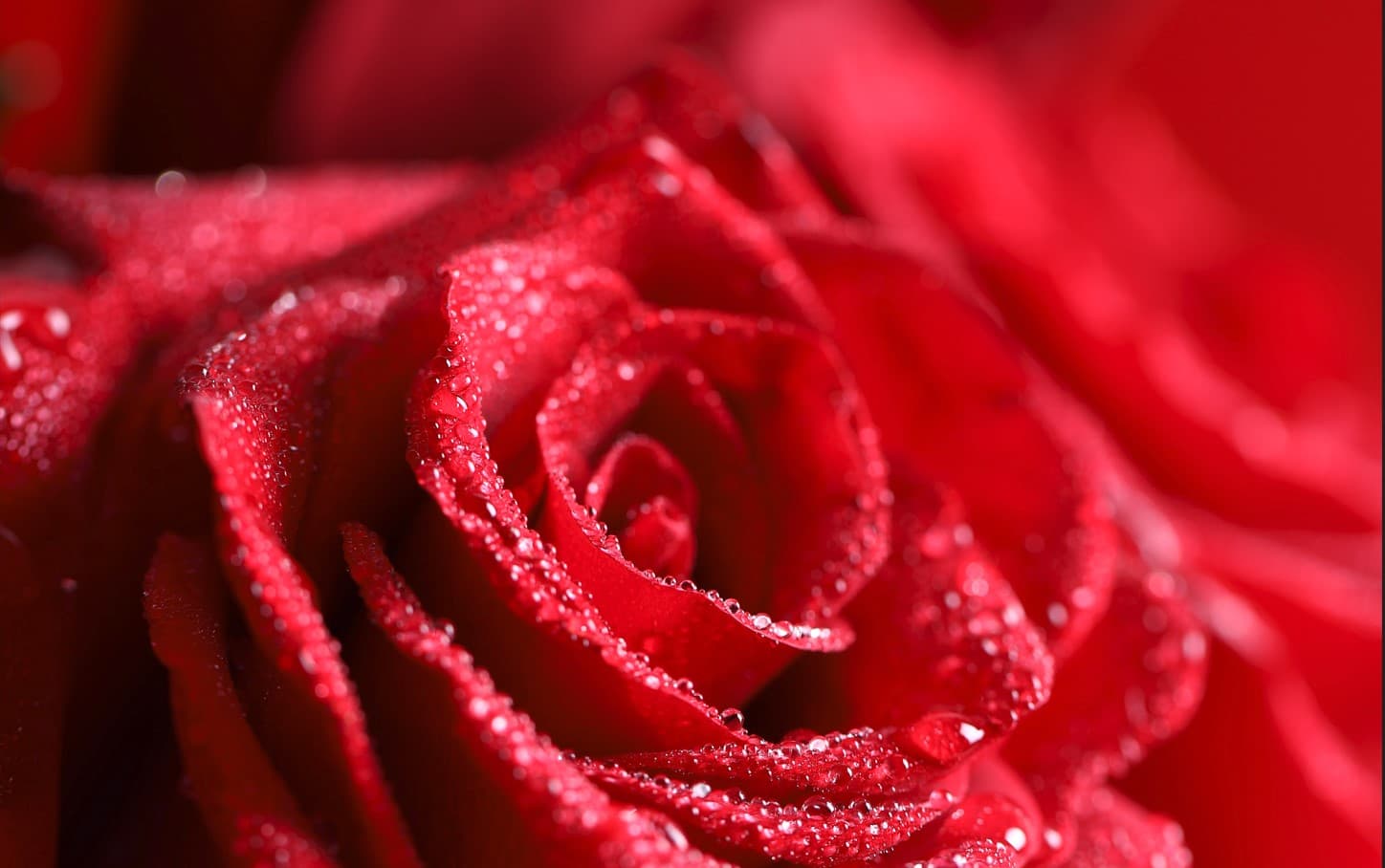 Rosa logo migraña menstrual